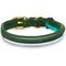 Show in main carousel: OOPSDOGGY Soft Padded Rolled Leather Reflective Dog Collar, Green, X-Large: 17 to 21-in neck, 4/5-in wide slide 2 of 6