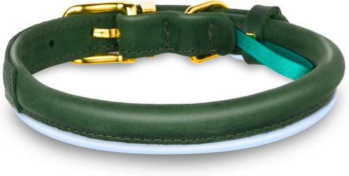 Show full view: OOPSDOGGY Soft Padded Rolled Leather Reflective Dog Collar, Green, X-Large: 17 to 21-in neck, 4/5-in wide slide 2 of 6