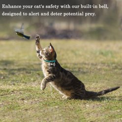 OOPSDOGGY Indoor & Outdoor Non Breakaway AirTag Holder Cat Collar with Bell, Pink, 8 to 11-in neck, 1/2-in wide slide 2 of 9