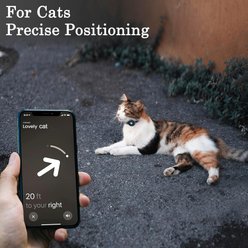 OOPSDOGGY Non Breakaway Lightweight GPS Reflective Leather Apple AirTag Cat Collar with Bell, Black, 8 to 11-in neck, 1/2-in wide slide 2 of 8