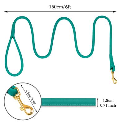 Show full view: OOPSDOGGY Outdoor Rolled Leather Reflective Walking Running Dog Leash, Teal, Small: 6-ft long, 3/8-in wide slide 3 of 8