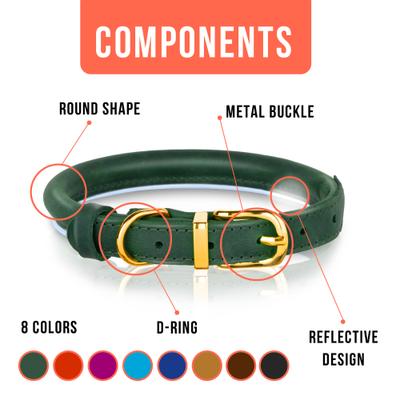 Show full view: OOPSDOGGY Soft Padded Rolled Leather Reflective Dog Collar, Green, X-Large: 17 to 21-in neck, 4/5-in wide slide 3 of 6