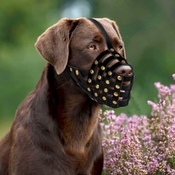 OOPSDOGGY Breathable Secure Basket Leather Labrador Retriever Dog Muzzle, Black slide 2 of 6