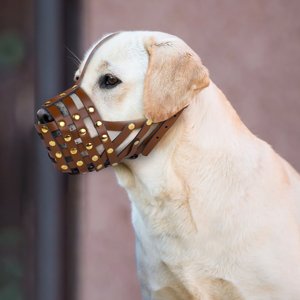 OOPSDOGGY Breathable Secure Basket Leather Labrador Retriever Dog Muzzle, Brown