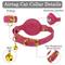 Show in main carousel: OOPSDOGGY Lightweight GPS Leather Apple Air Tag Holder Cat Collar with Bell, Pink, 8 to 11-in neck, 1/2-in wide slide 3 of 6