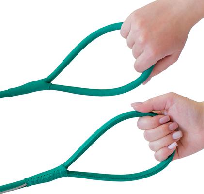 Show full view: OOPSDOGGY Outdoor Rolled Leather Reflective Walking Running Dog Leash, Teal, Small: 6-ft long, 3/8-in wide slide 4 of 8