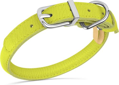 Show full view: OOPSDOGGY Soft Rolled Leather Dog Collar, Lime Green, XX-Small: 7 to 9-in neck, 3/8-in wide slide 4 of 6