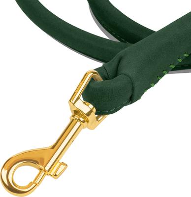 Show full view: OOPSDOGGY Outdoor Rolled Leather Reflective Walking Running Dog Leash, Green, Medium/Large: 6-ft long, 3/4-in wide slide 5 of 8