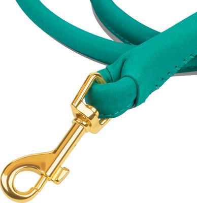 Show full view: OOPSDOGGY Outdoor Rolled Leather Reflective Walking Running Dog Leash, Teal, Small: 6-ft long, 3/8-in wide slide 5 of 8