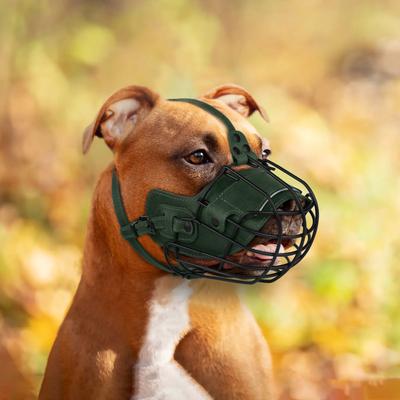 Show full view: OOPSDOGGY Breathable Secure Basket Leather Metal Reflective Pitbull Dog Muzzle, Green slide 6 of 9