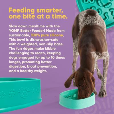 Show full view: Yomp BetterFeeder Slow Feed Dog Bowl, 3-cup slide 3 of 5