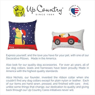Show full view: Up Country Don't Even Think About It Pillow slide 3 of 3