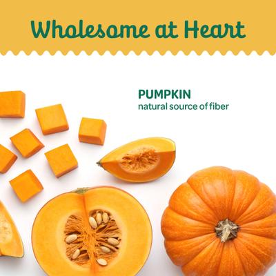 Show full view: Wholesome Pride Pet Treats Pumpkin Slices Dehydrated Dog Treats, 10-oz bag slide 4 of 9