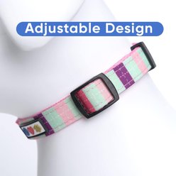 Pawtitas Embroidered Name & Phone Adjustable Polyester Personalized Dog Collar, Teal / Purple / Pink, Medium: 13 to 20-in neck, 3/4-in wide slide 2 of 8