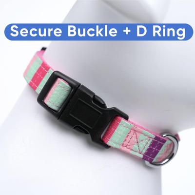 Show full view: Pawtitas Embroidered Name & Phone Adjustable Polyester Personalized Dog Collar, Teal / Purple / Pink, Small: 11 to 16-in, 5/8-in wide slide 5 of 8