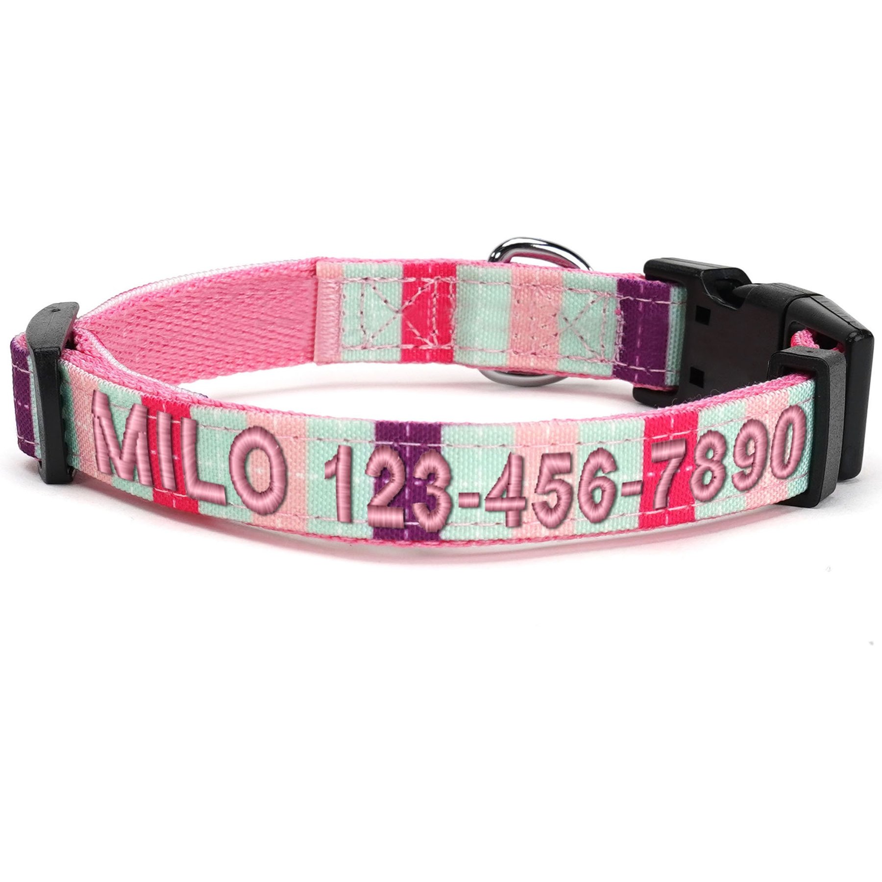 Pawtitas Embroidered Name & Phone Adjustable Polyester Personalized Dog Collar, Teal / Purple / Pink, Large: 16 to 26-in neck, 1-in wide