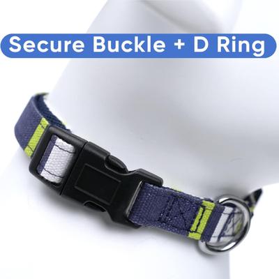 Show full view: Pawtitas Embroidered Name & Phone Adjustable Polyester Personalized Dog Collar, Green / White / Blue, Medium: 13 to 20-in neck, 3/4-in wide slide 6 of 9