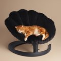 Tavo Pets Shell Swaying Lounger Dog & Cat Bed, Onyx