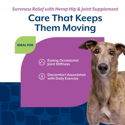 Show full view: NaturVet Soreness Relief with Hemp Bacon & Chicken Flavor Hip & Joint Supplement for Dogs, 60 count slide 5 of 11