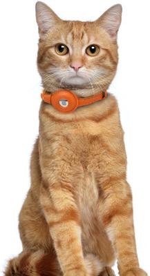 Show full view: OOPSDOGGY Lightweight GPS Leather Apple Air Tag Holder Cat Collar with Bell, Orange, 8 to 11-in neck, 1/2-in wide slide 6 of 6