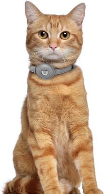 Show full view: OOPSDOGGY Lightweight GPS Leather Apple Air Tag Holder Cat Collar with Bell, Gray, 8 to 11-in neck, 1/2-in wide slide 6 of 6