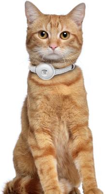 Show full view: OOPSDOGGY Lightweight GPS Leather Apple Air Tag Holder Cat Collar with Bell, White, 8 to 11-in neck, 1/2-in wide slide 6 of 6