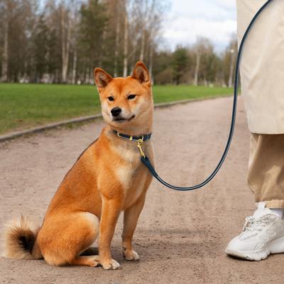 Show full view: OOPSDOGGY Outdoor Rolled Leather Reflective Walking Running Dog Leash, Blue, Medium/Large: 6-ft long, 3/4-in wide slide 6 of 8