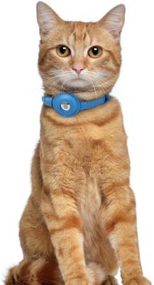 Show full view: OOPSDOGGY Lightweight GPS Leather Apple Air Tag Holder Cat Collar with Bell, Blue, 8 to 11-in neck, 1/2-in wide slide 6 of 6