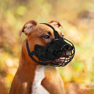 Show full view: OOPSDOGGY Breathable Secure Basket Leather Metal Reflective Pitbull Dog Muzzle, Black slide 6 of 8