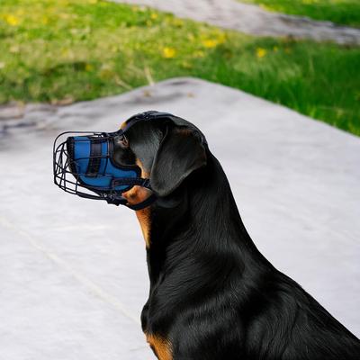 Show full view: OOPSDOGGY Adjustable Breathable Wire Basket Metal Rottweiler Dog Muzzle, Blue slide 6 of 9
