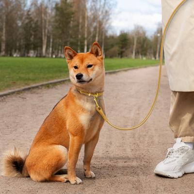 Show full view: OOPSDOGGY Outdoor Rolled Leather Reflective Walking Running Dog Leash, Camel, Medium/Large: 6-ft long, 3/4-in wide slide 6 of 8