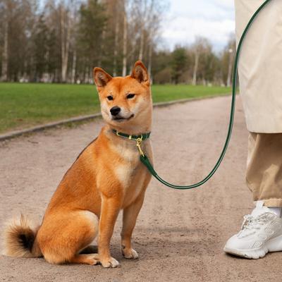 Show full view: OOPSDOGGY Outdoor Rolled Leather Reflective Walking Running Dog Leash, Green, Medium/Large: 6-ft long, 3/4-in wide slide 6 of 8