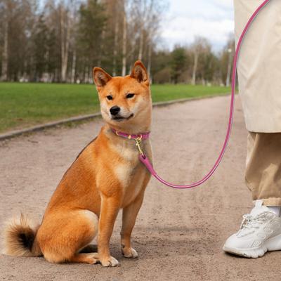 Show full view: OOPSDOGGY Outdoor Rolled Leather Reflective Walking Running Dog Leash, Pink, Small: 6-ft long, 3/8-in wide slide 6 of 8