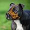 Show in main carousel: OOPSDOGGY Breathable Secure Basket Leather Metal Reflective Pitbull Dog Muzzle, Camel slide 6 of 8