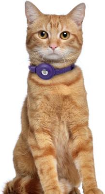 Show full view: OOPSDOGGY Lightweight GPS Leather Apple Air Tag Holder Cat Collar with Bell, Purple, 8 to 11-in neck, 1/2-in wide slide 6 of 6