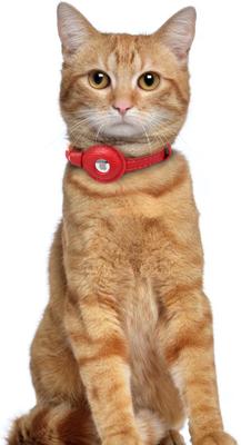 Show full view: OOPSDOGGY Lightweight GPS Leather Apple Air Tag Holder Cat Collar with Bell, Red, 8 to 11-in neck, 1/2-in wide slide 6 of 6