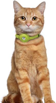 Show full view: OOPSDOGGY Lightweight GPS Leather Apple Air Tag Holder Cat Collar with Bell, Lime Green, 8 to 11-in neck, 1/2-in wide slide 6 of 6