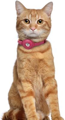 Show full view: OOPSDOGGY Lightweight GPS Leather Apple Air Tag Holder Cat Collar with Bell, Pink, 8 to 11-in neck, 1/2-in wide slide 6 of 6
