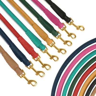 Show full view: OOPSDOGGY Outdoor Rolled Leather Reflective Walking Running Dog Leash, Blue, Medium/Large: 6-ft long, 3/4-in wide slide 7 of 8