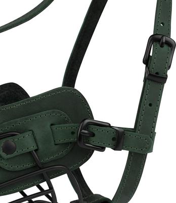 Show full view: OOPSDOGGY Breathable Secure Basket Leather Metal Reflective Pitbull Dog Muzzle, Green slide 8 of 9