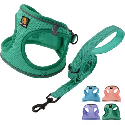 Bella & Pal Bella & Pal OxyMesh Velcro Step-in Harness & Leash Set, Emerald, Medium