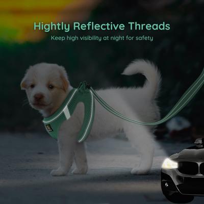 Show full view: Bella & Pal OxyMesh Velcro Step-in Harness & Leash Set, Emerald, Small slide 3 of 7