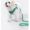 Show in main carousel: Bella & Pal OxyMesh Velcro Step-in Harness & Leash Set, Emerald, Small slide 6 of 7