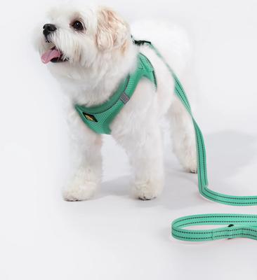 Show full view: Bella & Pal OxyMesh Velcro Step-in Harness & Leash Set, Emerald, Small slide 6 of 7