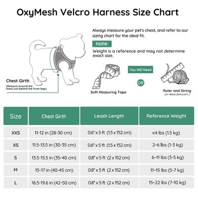 Show full view: Bella & Pal OxyMesh Velcro Step-in Harness & Leash Set, Emerald, Small slide 4 of 7