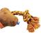 Show in main carousel: PAWTY TOYS PAWTY Bone Tug Rope Squeaky Plush Dog Toy slide 3 of 4