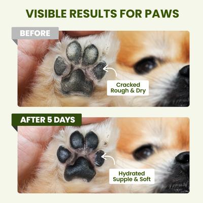 Show full view: PawSono Lick-Safe Dog Paw & Nose Balm with Coconut Oil, 1.7-oz stick slide 5 of 9