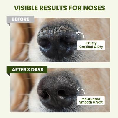 Show full view: PawSono Lick-Safe Dog Paw & Nose Balm with Coconut Oil, 1.7-oz stick slide 4 of 9