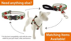 LupinePet Thanksgiving Turkeys Adjustable Slip-on Martingale Training Dog Collar, Turkey Trot, X-Large: 19 to 27-in neck, 1-in wide slide 2 of 6