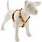 Show in main carousel: LupinePet Thanksgiving Turkeys Adjustable Dog Harness, Turkey Trot, Medium: 20 to 32-in chest girth, 1-in wide slide 1 of 6